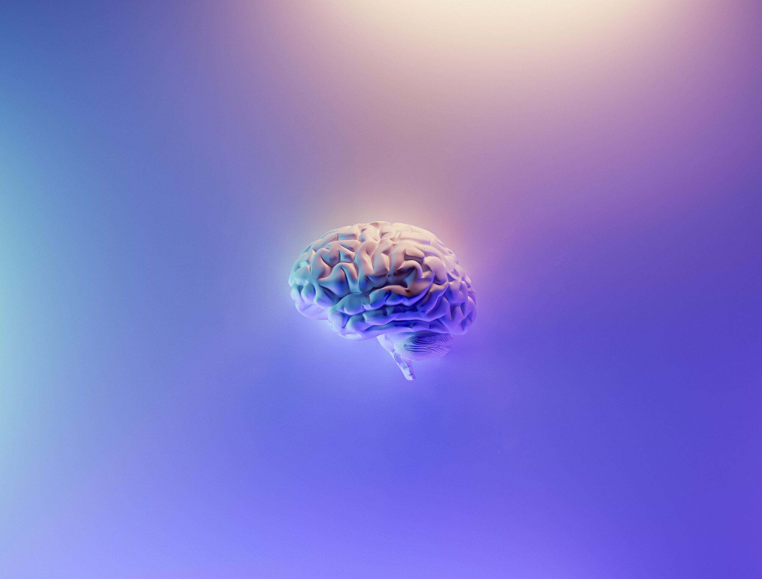 Image of a brain on a purple background